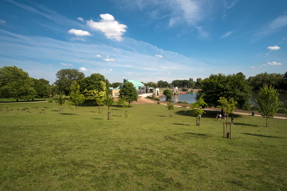 outside park